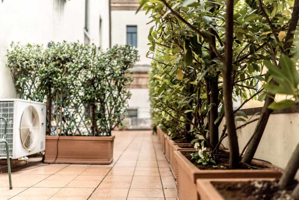 Large terrace with plants - Accademia Terrazza Apartment Large terrace with plants - Accademia Terrazza Apartment