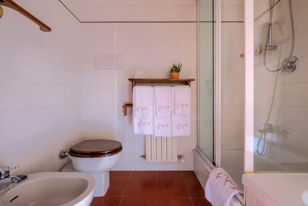 Bathroom with shower - Ca' Affresco 1 Apartment Bathroom with shower - Ca' Affresco 1 Apartment