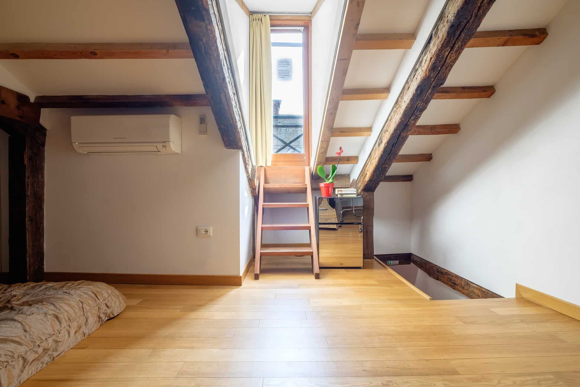 The Lion's House Apartment - Lion 4
