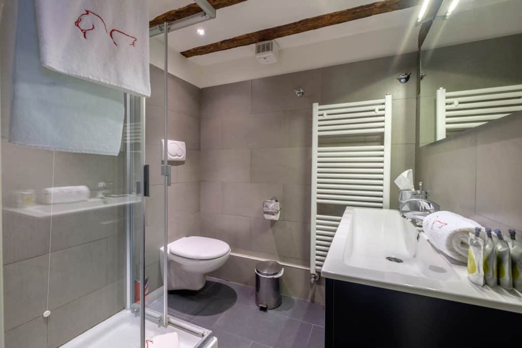 Small bathroom with shower and modern furnishing - The Lion's 5 Apartment Small bathroom with shower and modern furnishing - The Lion's 5 Apartment